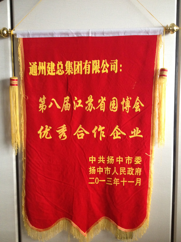 扬中市委市政府向公司赠送锦旗表示感谢